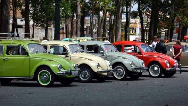 1 Fusqueiros de Curitiba - foto divulgacao (5)