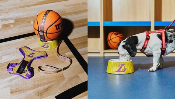 1 nba_petlove_widelg