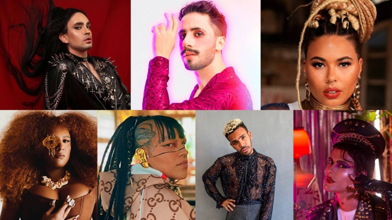 1 artistas-tim-orgulho-de-ser