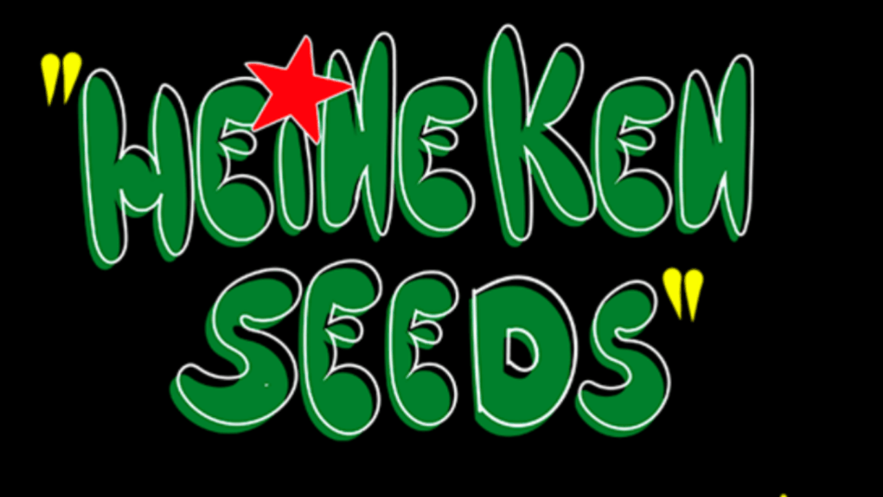 1 heineken seeds