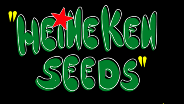 1 heineken seeds