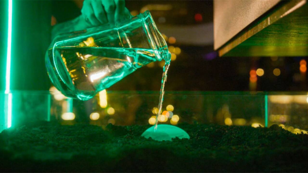 1 HEINEKEN DIA MAIS VERDE 1