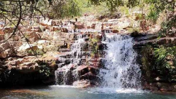 1 turismo ecologico brasilia
