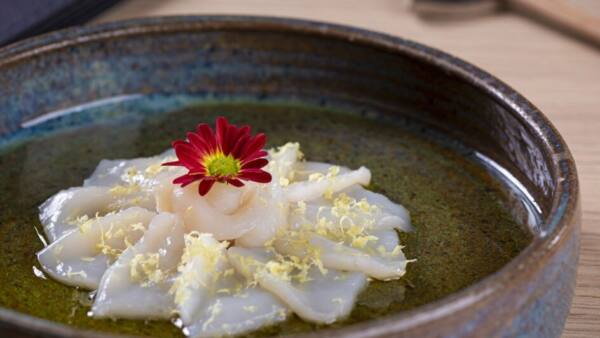 wp_img_69ea86176df706.11811029