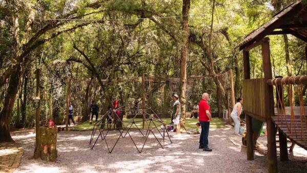 wp_img_69efd103936c58.98441203